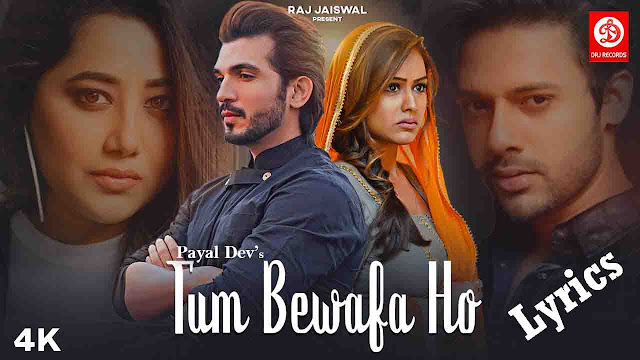 Tum Bewafa Ho Lyrics/Payal Dev & Stebin Ben
