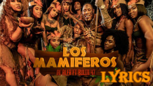 Mamiferos Lyrics/El Alfa & Bulin 47