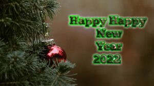 happy-new-years/new-year-2022