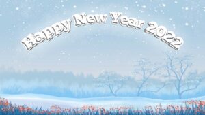 new-year-resolution/happy-new-year-2022