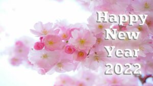 new-years-eve/happy-new-year-2022
