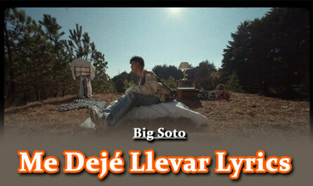 Me Dejé Llevar Lyrics - Big Soto