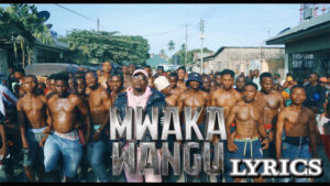 Mwaka Wangu Lyrics - Harmonize