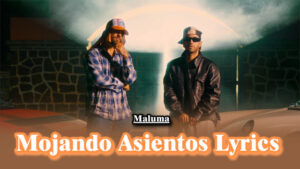 Mojando Asientos Lyrics - Maluma