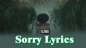 Sorry Lyrics - UMI