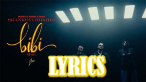 Skankovi hibridi (BIBI REMIX) Lyrics - Nucci, Seksi & Biba