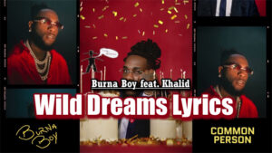 Wild Dreams Lyrics - Burna Boy feat. Khalid - Audio Version