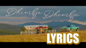 Dhimbje Dhimbje Lyrics - Dafina Zeqiri