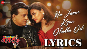 Na Jaane Kyun Dhadka Dil Lyrics - Shaan & Amruta Fadnavis