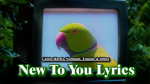 New To You Lyrics - Calvin Harris, Normani, Tinashe & Offset