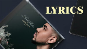 Perro Lyrics - Romeo Santos