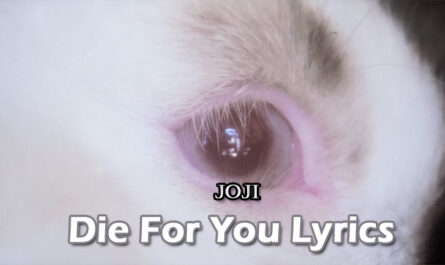 Die For You Lyrics - Joji
