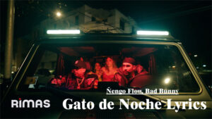 Gato de Noche Lyrics - Ñengo Flow, Bad Bunny