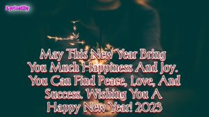 Happy New Year 2023/happy new year my love