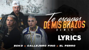 Te Escapas De Mis Brazos (Remix) Lyrics - El Perro