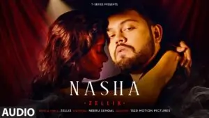 Nasha Lyrics - ZelliX - Audio Version