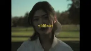 WildFlower Lyrics - Yung Kai