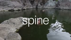 Spine Lyrics - Maggie Lindemann