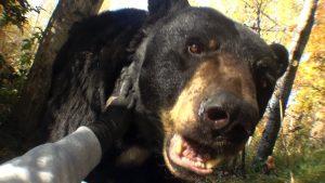 Past Won't Leave My Bed Lyrics - Joji