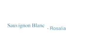 Sauvignon Blanc Lyrics - ROSALÍA
