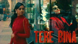 TERE BINA Lyrics - Nawaj Ansari