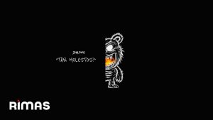 6AM - TAN MOLESTOS Lyrics - Sech - Visualizer Version