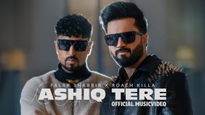 Ashiq Tere Lyrics - Falak Shabbir x Roach Killa