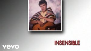 Insensible Lyrics - Juan Gabriel - Audio Version