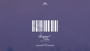 Bagirana Deu Lyrics - Yabesh Thapa ft. SNJV, Mallika Gurung - Visualizer Version