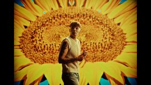 Sunflowers Lyrics - Louis Tomlinson - Visualiser Version