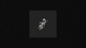 A Thousand Years Lyrics - John Michael Howell, JVKE, & ZVC - Lyric Version