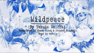 Wildpeace Lyrics - U2, Adeola & Jacknife Lee - Lyric Version