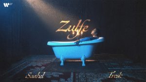 Zulfe Lyrics - Saahel