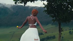 Dosa Lyrics - Calvin Mbanda - Vizualizer Version